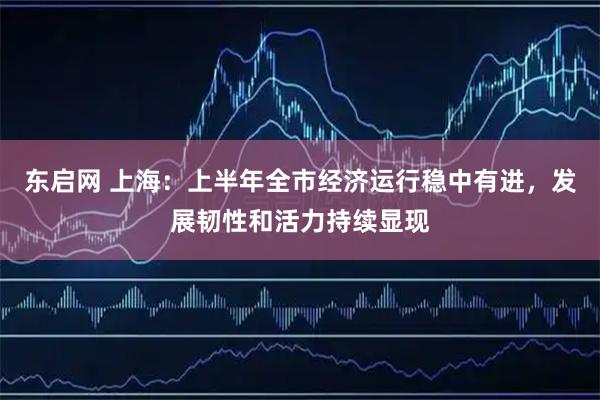 东启网 上海:上半年全市经济运行稳中有进,发展韧性和活力持续显现