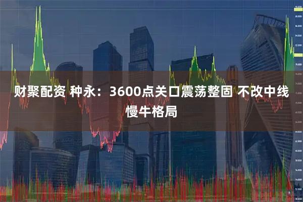 财聚配资 种永:3600点关口震荡整固 不改中线慢牛格局
