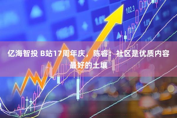 亿海智投 B站17周年庆，陈睿：社区是优质内容最好的土壤