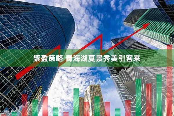 聚盈策略 青海湖夏景秀美引客来