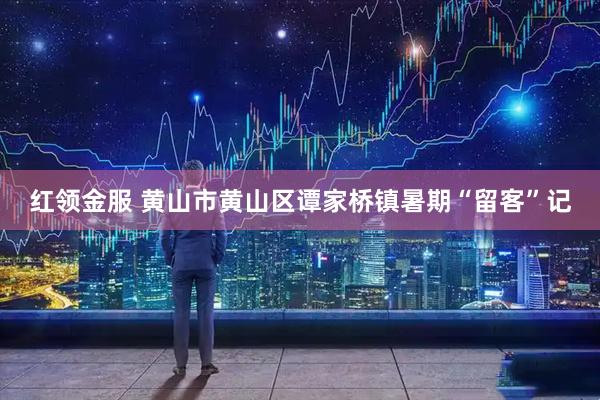红领金服 黄山市黄山区谭家桥镇暑期“留客”记